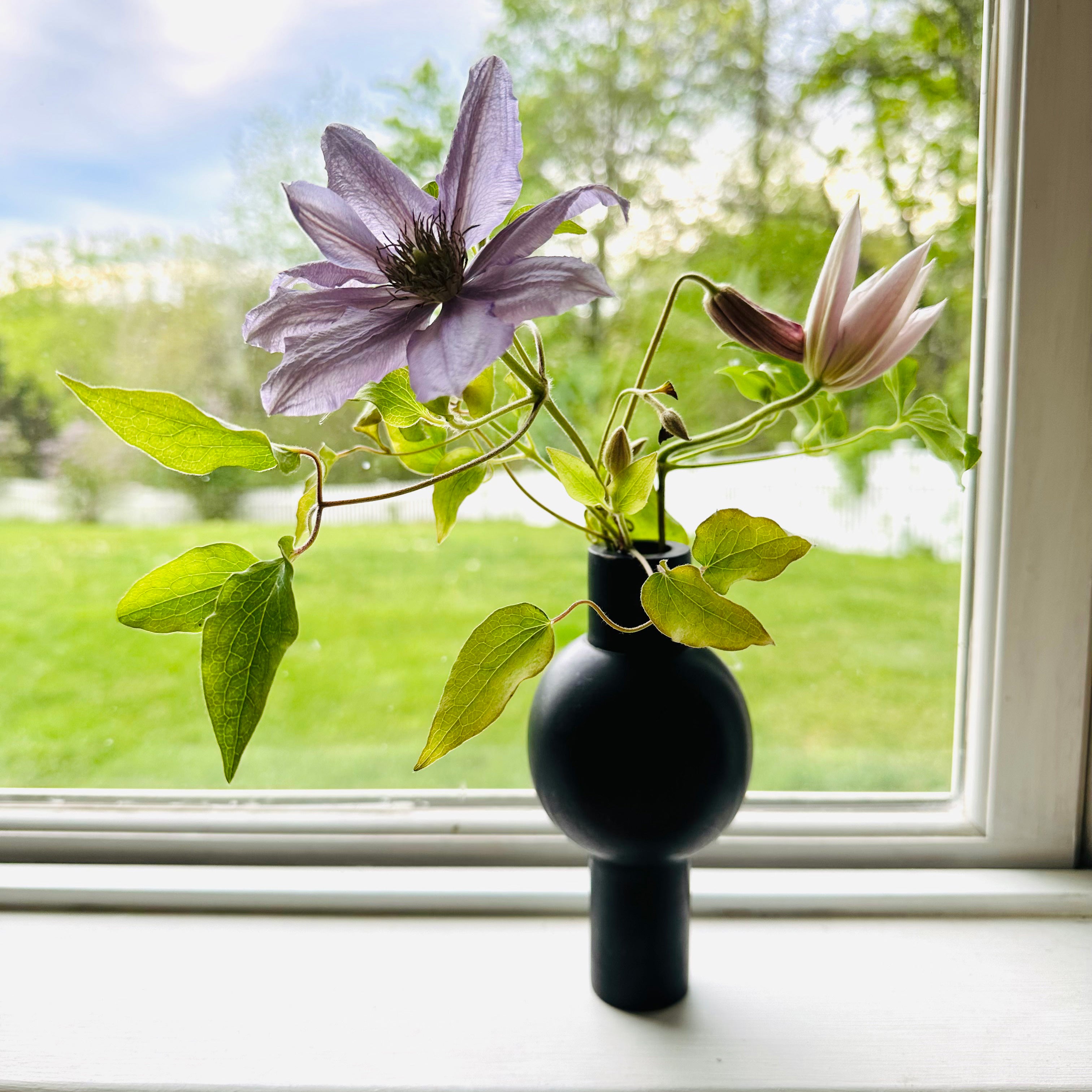 Image of M+A NYC Keyhole Vase in Soapstone showing of clematis blossoms