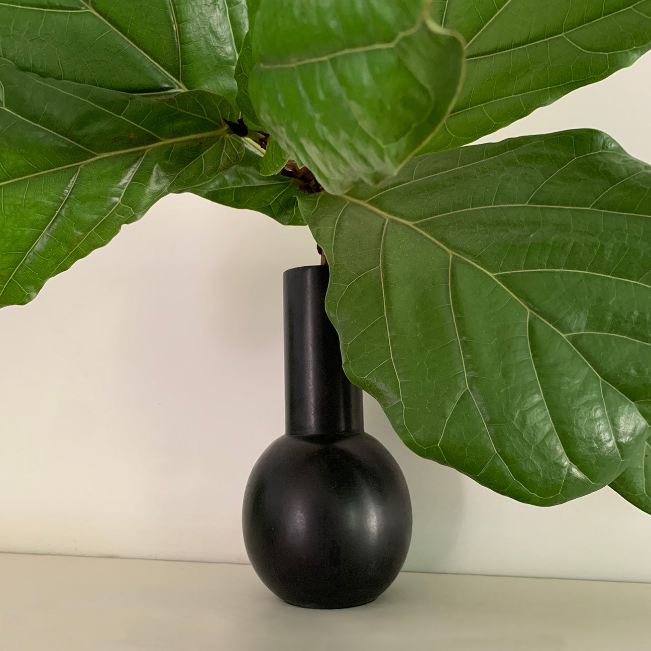 Image of M+A  Lolita Soapstone Vase with Fig Tree Branch