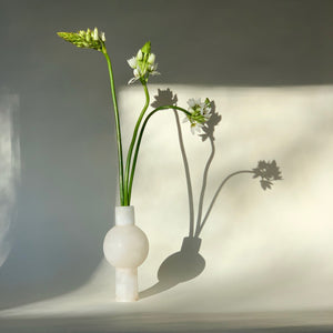 M+A NYC Alabaster Keyhole Vase with 3 white flowers in beautiful late afternoon light.