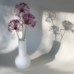 M+A Lolita Vase in Alabaster with 3 purple allium bathed in early evening light and casting long shadows.