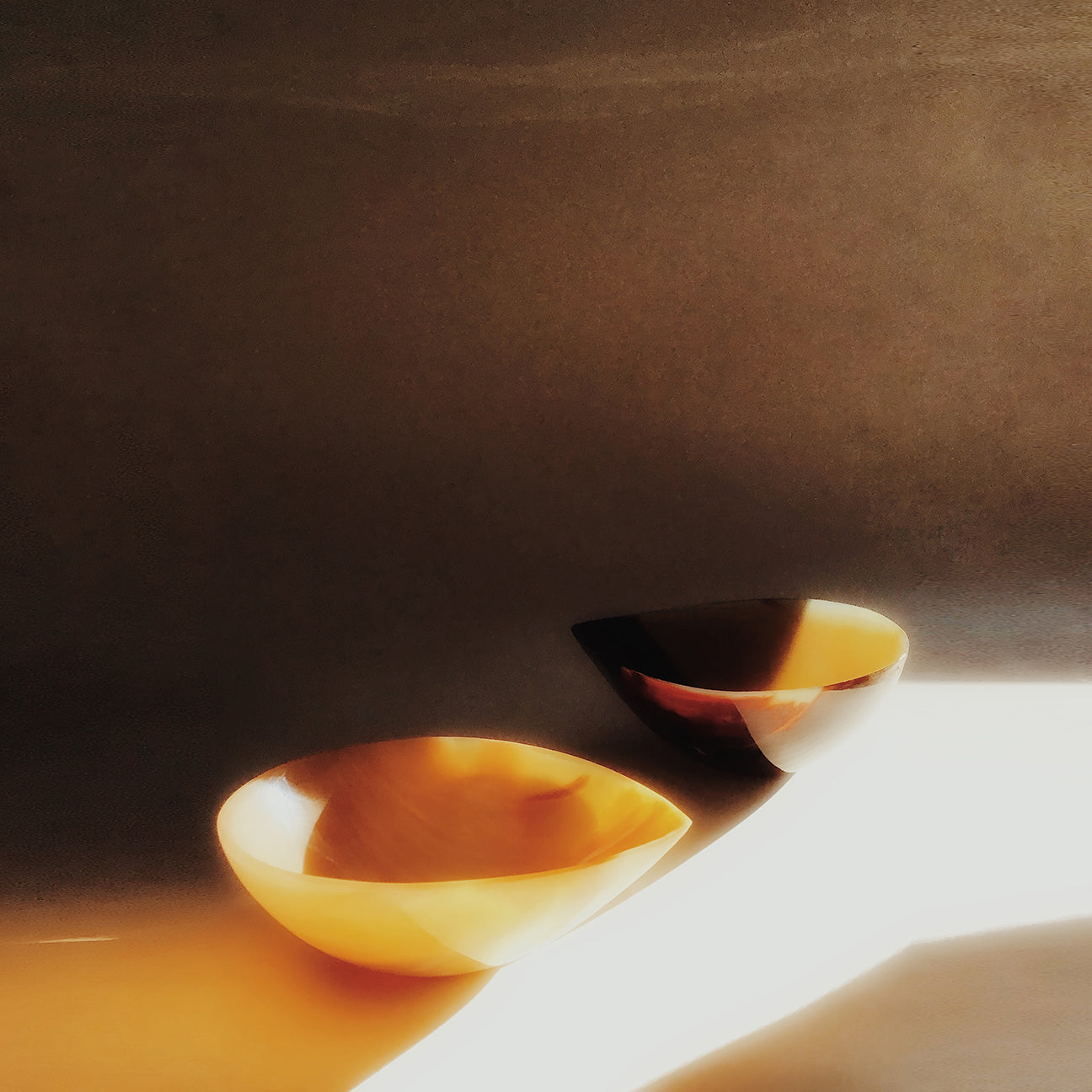 M+A NYC Carved and Polished Horn Pod Bowls