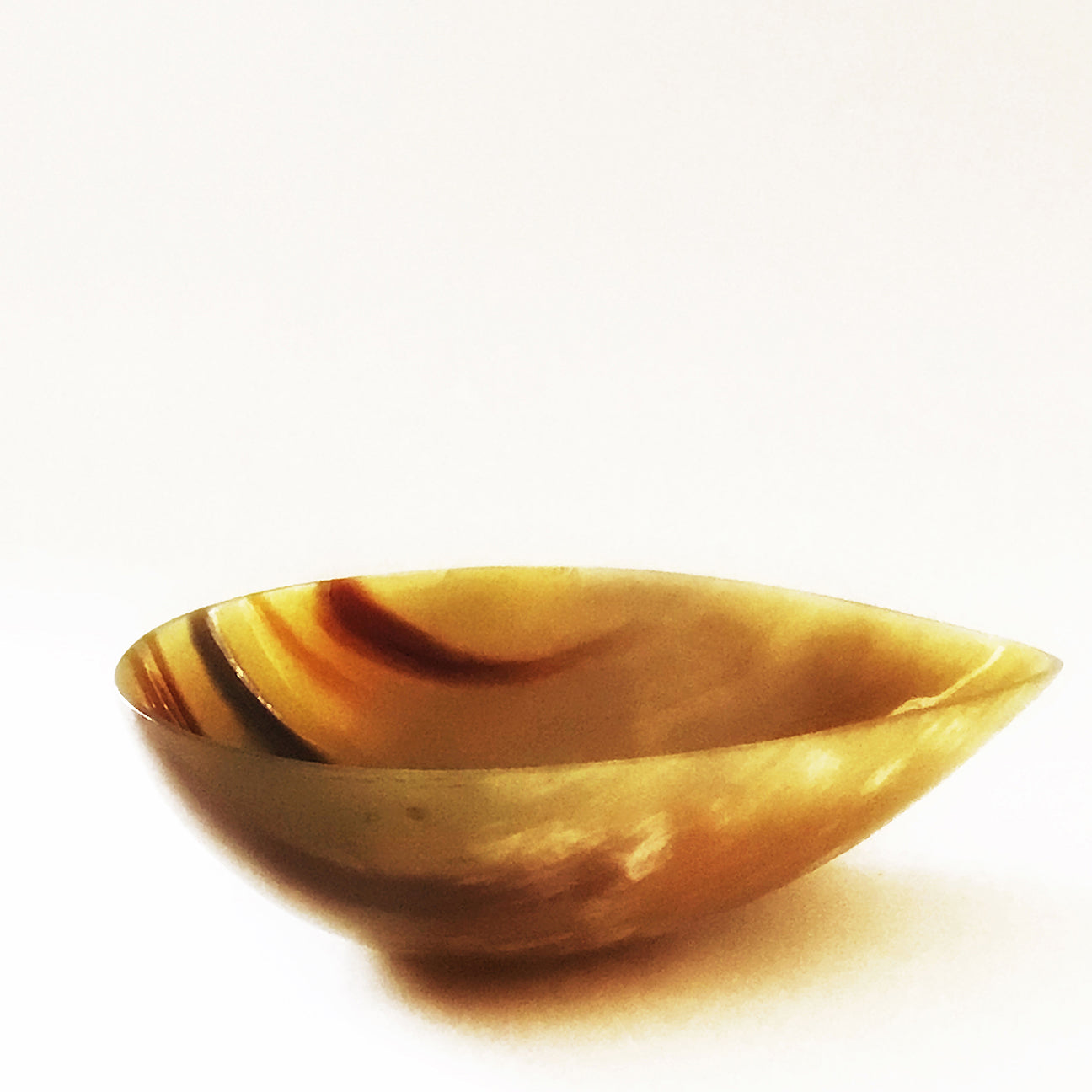M+A NYC Carved and Polished Horn Pod Bowl - Fawn