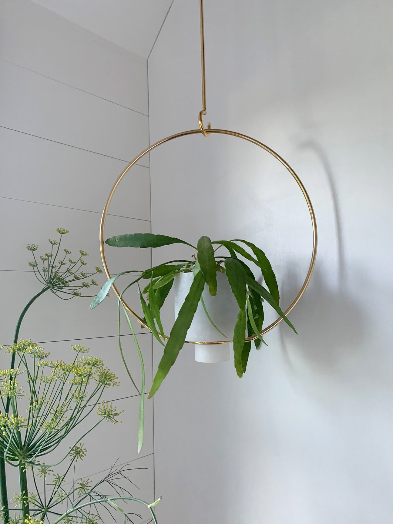 Image of M+A NYC Hanging Planter in Alabaster with trailing succulent.