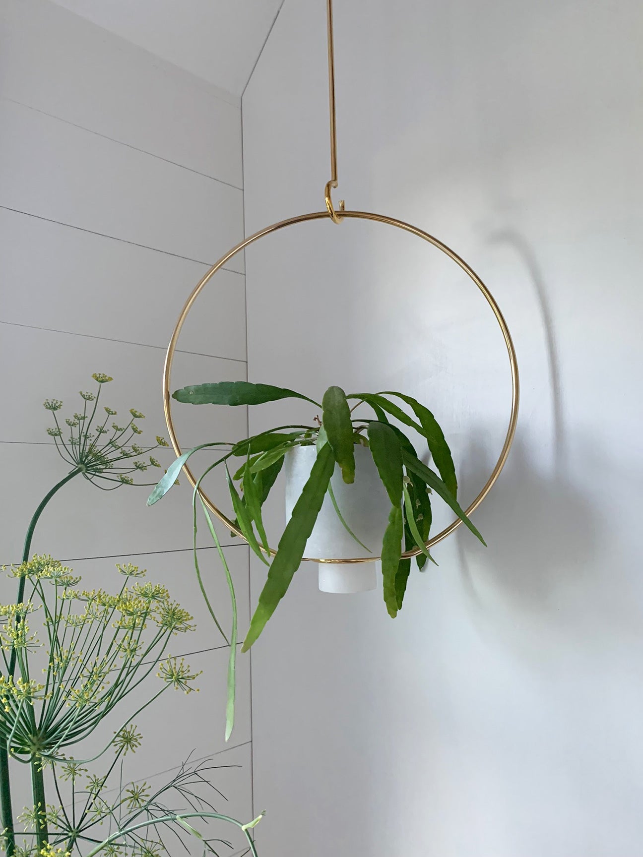 hanging lantern planter Hanging Planter/Lantern with Hook Medium