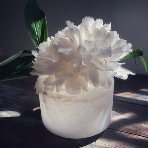 M+A NYC Planter/Vase Set - Alabaster