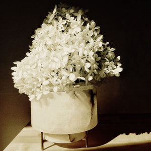 M+A NYC Planter/Vase Set - Alabaster 